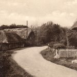 Rosemary Lane