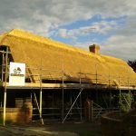 New thatch summer 15